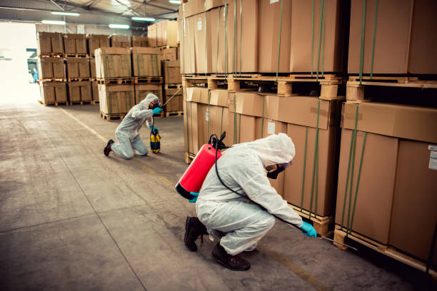 Best Affordable Exterminators  in Highfill, AR