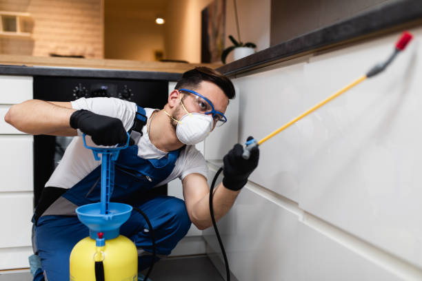 Best Pest Control Treatment  in Highfill, AR