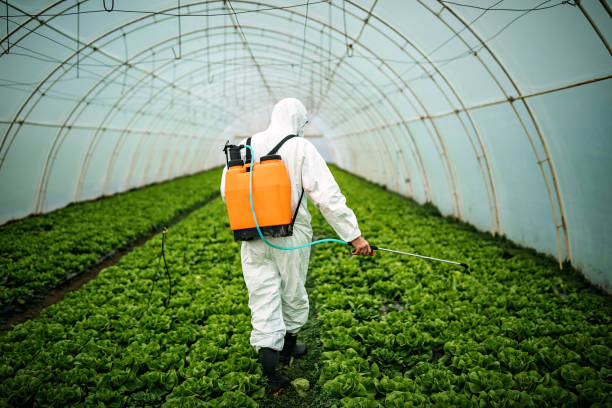 Best Pest Control for Businesses  in Highfill, AR
