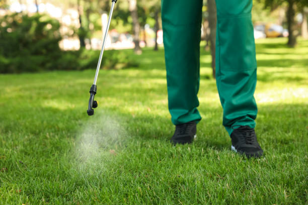 Best Cockroach Control Services  in Highfill, AR