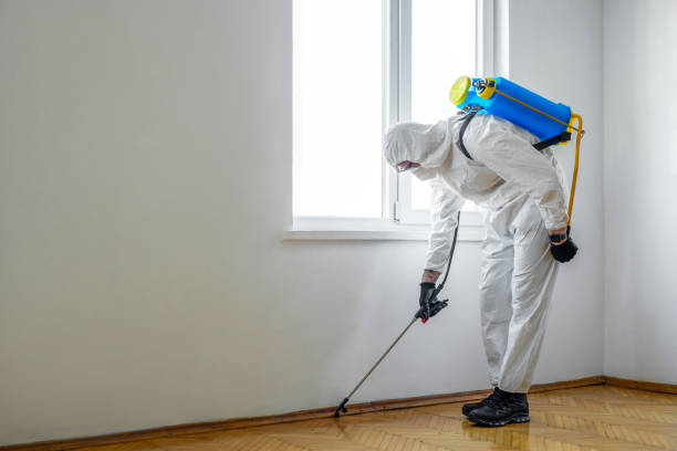 Best Pest Control for Homes  in Highfill, AR