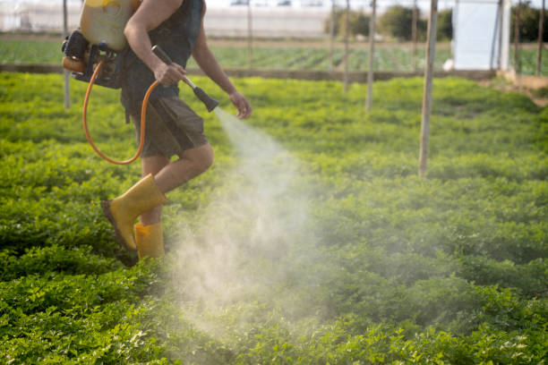 Best Best Pest Control Companies  in Highfill, AR