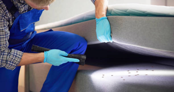 Best Termite Control Services  in Highfill, AR