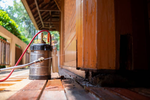 Best Exterminator Services  in Highfill, AR