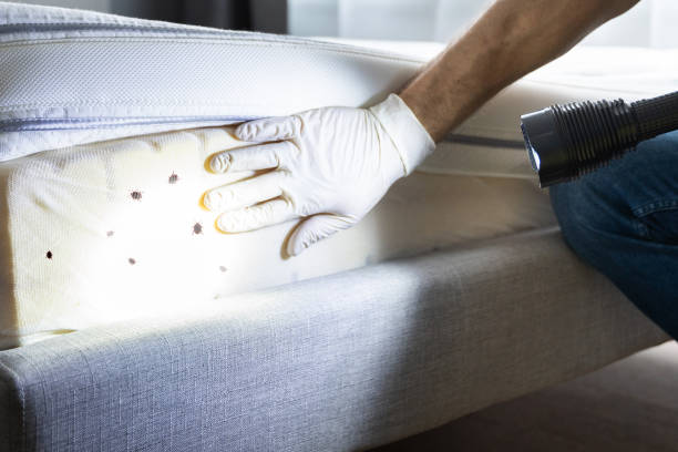 Best Best Pest Control Companies  in Highfill, AR