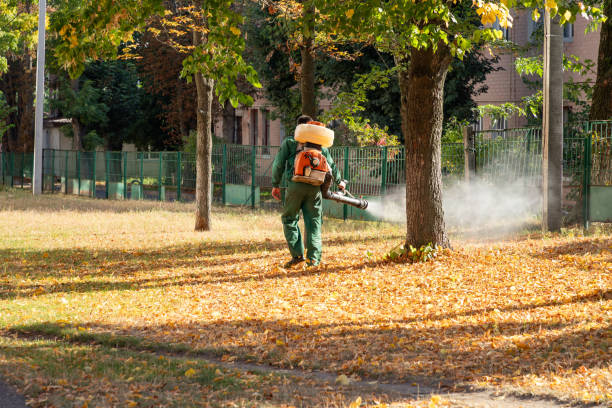 Best Local Pest Control Services  in Highfill, AR